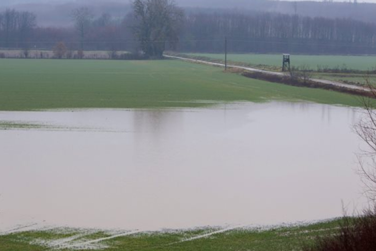 Nehezíti a tavaszi vetést a belvíz